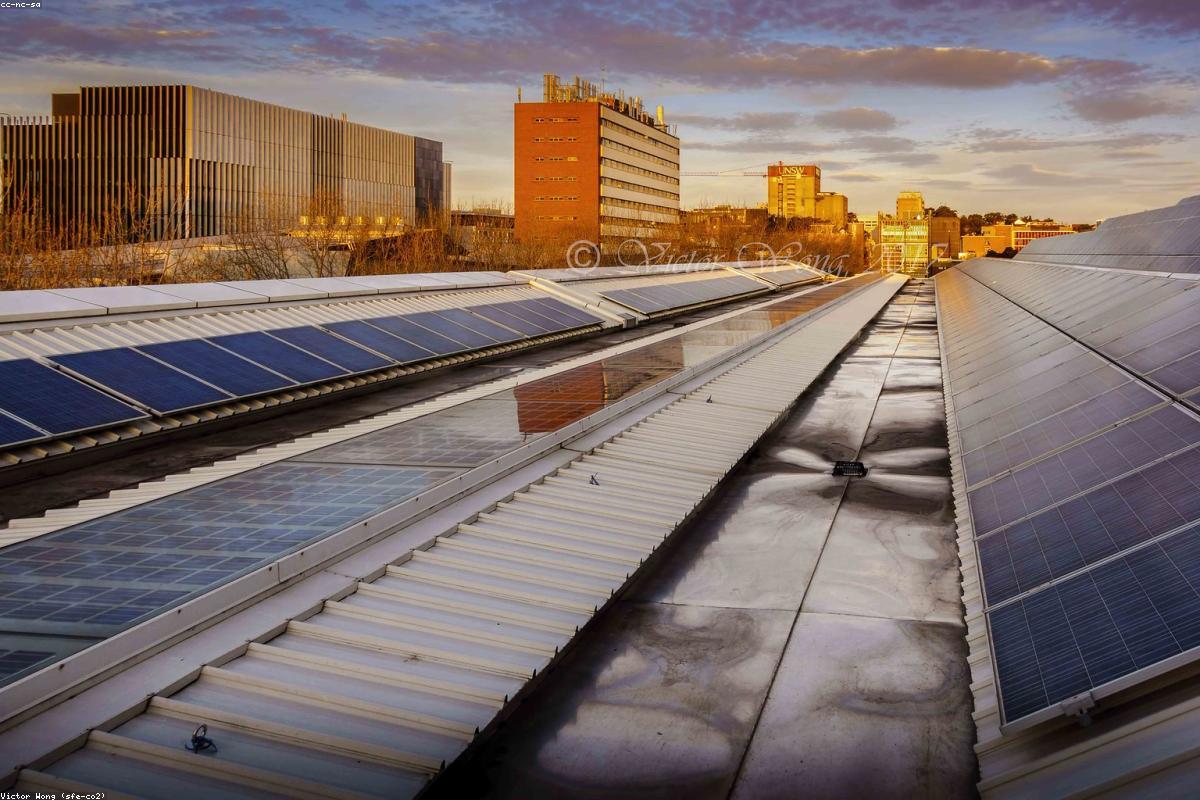 Utility-Scale Solar Farm